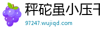 秤砣虽小压千斤网